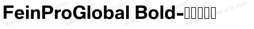 FeinProGlobal Bold字体转换